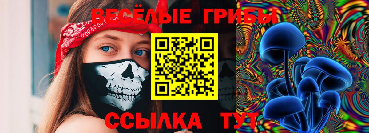 Псилоцибиновые грибы MAGIC MUSHROOMS  Вход с VPN  Вышний Волочёк 