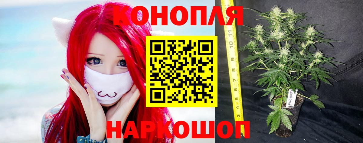 Марихуана VHQ  Вход с VPN  Марихуана SATIVA & INDICA  Вышний Волочёк 